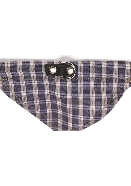 Deri Bandanalı Köpek Boyun Tasması, 37CM, Mavi modelleri