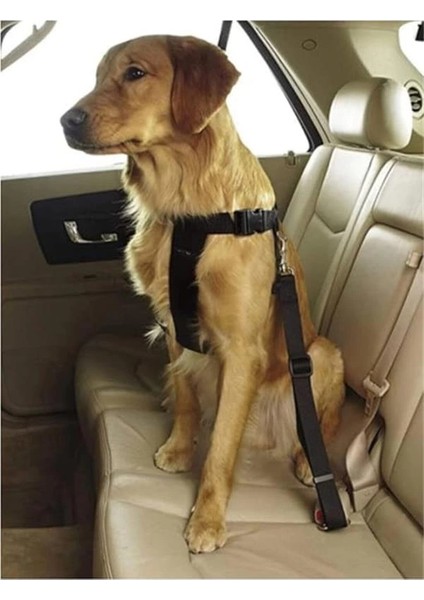 Evcil Hayvan Araç Emniyet Kemeri Kedi Köpek Seyahat Araba Oto Tasması Siyah Tek Ebat modelleri
