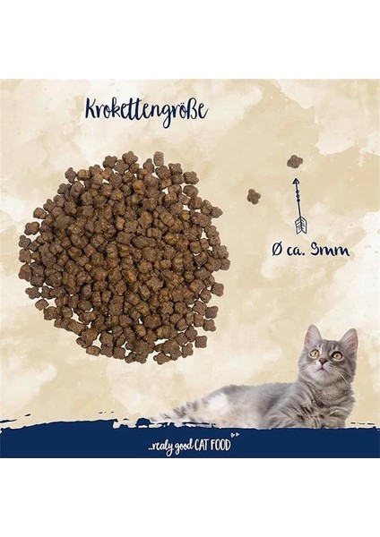 Kitten Glutensiz Hamile Emziren Anne Kedi ve Yavru Kedi Maması 10 kg modelleri