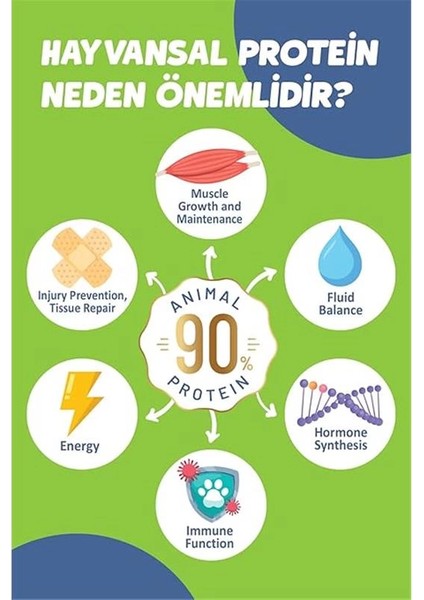 Yetişkin Somon'lu Süper Premium 1,5 kg Somonlu Kedi Maması - Hipoalerjenik - Düşük Tahıllı - Yüksek fiyatları