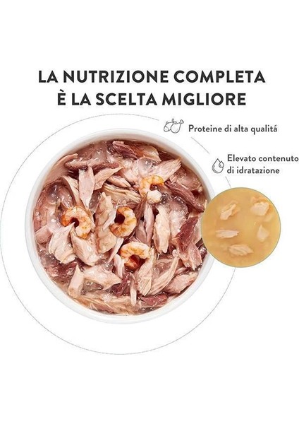 Yetişkin Kedi Konservesi 85 gr Somonlu