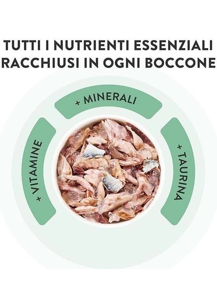 Yetişkin Kedi Konservesi 85 gr Somonlu