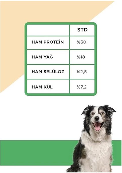 Hypo-Allergenic Tahılsız Yetişkin Köpek Maması Kuzu, Enginar ve Patatesli 1,5 kg modelleri