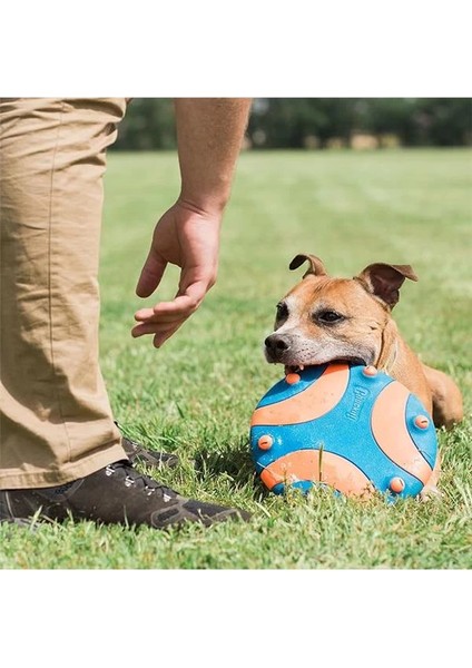 ! Whistle Flight Sesli Frizbi fiyatları