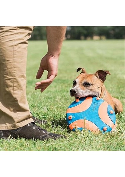 ! Whistle Flight Sesli Frizbi