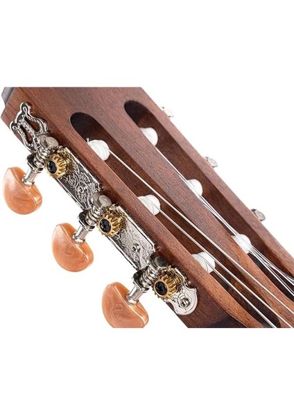 Klasik Gitar AC100DXOP