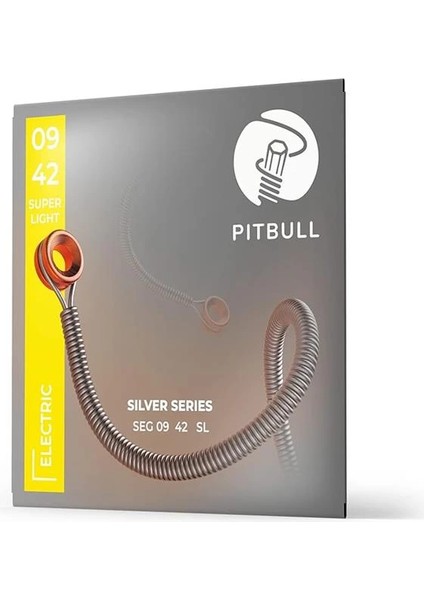Silver Seri Elektro Gitar Teli 09-42 Super Light Seg 09-42 Sl