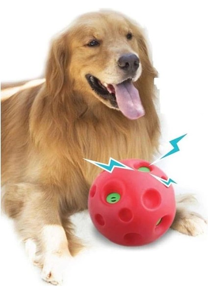 Pawise Shake Me Giggle Ball Sesli Top modelleri