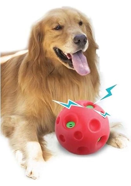 Pawise Shake Me Giggle Ball Sesli Top