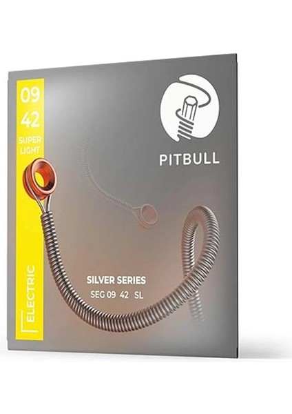 Silver Seri Elektro Gitar Teli 09-42 Super Light Seg 09-42 Sl