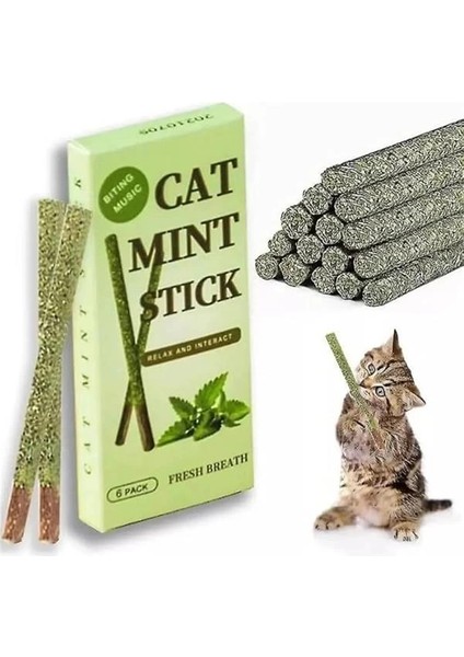 6 Adet Doğal Meyve Aromalı Matatabi Çubuğu Catnip Stick Kedi Catnip Dalı Cat Mint Stick