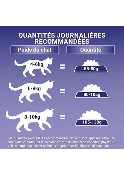 Kısırlaştırılmış Kediler Için Sığır Etli Kuru Kedi Maması 9,75 kg