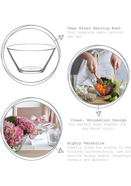 Vega 6'lı Orta Boy Kase indirimleri