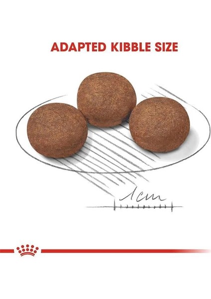 Medium Puppy Köpek Maması, 15 kg fırsatları