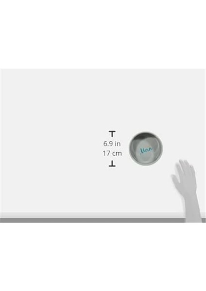 Köpek Seramik Mama Su Kabı 0,80 Lt / 16CM fırsatları