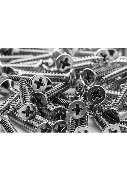 Netzerkoz All Essential Fasteners Netzerkoz 555 Parça Vida 12 Çeşit Sunta Vidası Seti - Organizerlı
