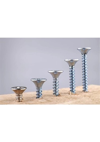 Netzerkoz All Essential Fasteners Netzerkoz 555 Parça Vida 12 Çeşit Sunta Vidası Seti - Organizerlı