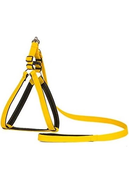 Yumuşak Doku Göğüs Takım No:3 fırsatları