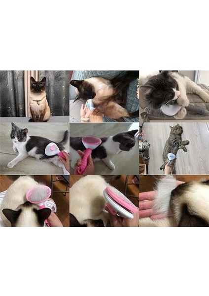 Kedi Köpek Tarağı Tüy Temizleme Otomatik Temizlenen Tüy Tarağı Kendi Kendini Temizleyen Masaj