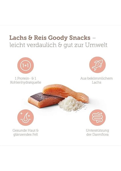 Pure Sensitive Somonlu ve Pirinçli Köpek Bisküvisi 600 Gram fiyatları