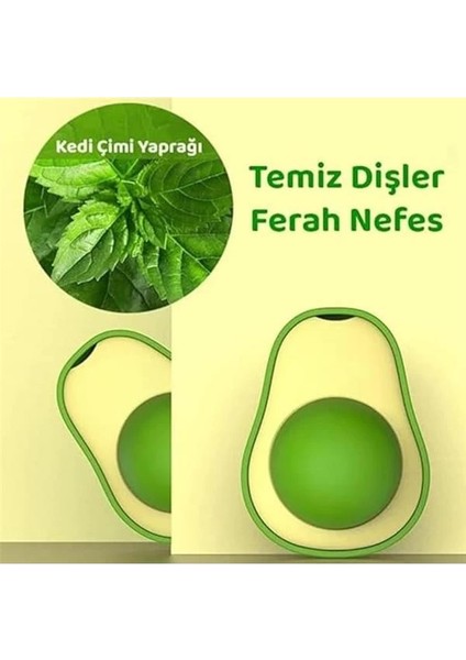Avokado Kedi Nanesi Kedi Otu Topu Kedi Oyuncağı Yapışkanlı Catnip modelleri