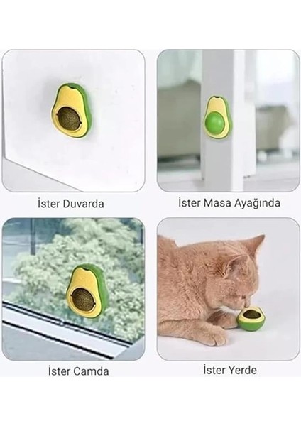 Avokado Kedi Nanesi Kedi Otu Topu Kedi Oyuncağı Yapışkanlı Catnip fırsatları