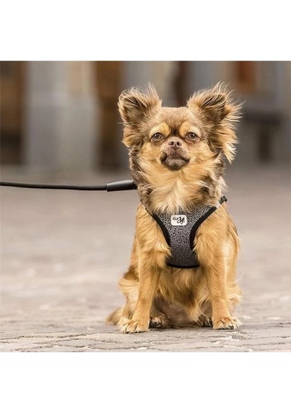 Göğüs Tasması Merino Kırmızı 2xs