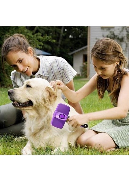® Otomatik Temizlenebilen Tuşlu Pratik Kedi Köpek Tüy Toplama Fırçası fiyatları