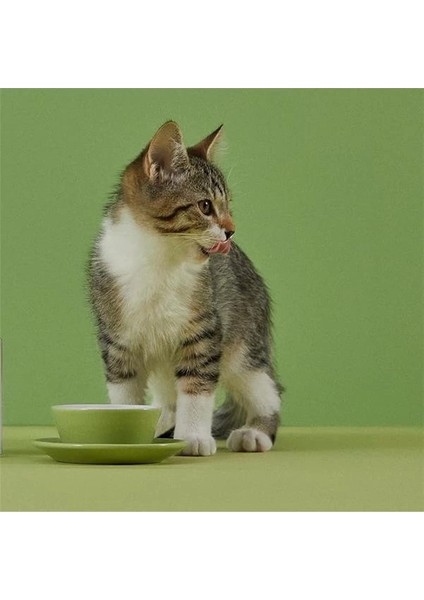 Doğal Besi Kuzu Etli Yavru Kedi Maması 2 kg fırsatları