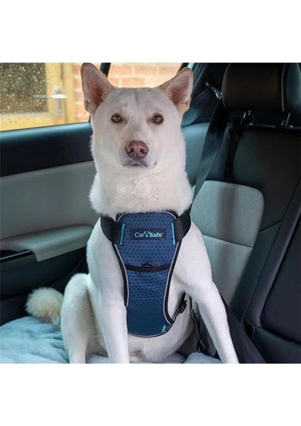 Carsafe Çarpışma Testli Köpek Harness Göğüs Tasması, Medium Mavi fiyatları