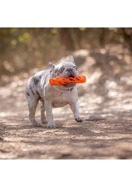 ! Air Fetch Stick Dog Toy, Large, Orange