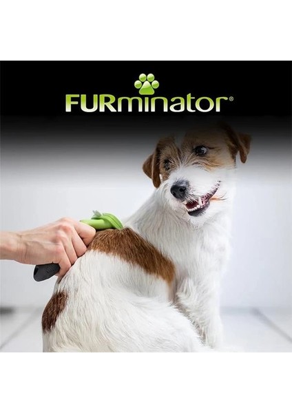 Furminator Kisa Tüylü Köpekler Için - Small