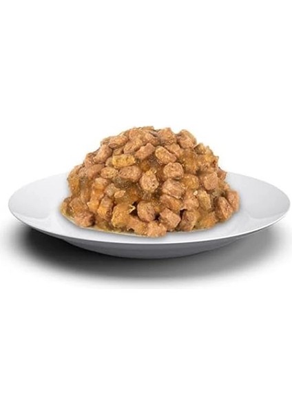 Tahılsız Somon Balıklı Kedi Yaş Maması 12X85 gr modelleri