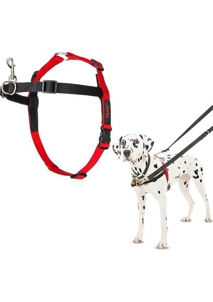 Halti Köpekler Için Önden Kontrollü Göğüs Tasması, Orta Boy
