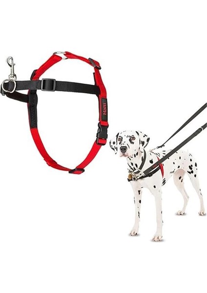 Halti Köpekler Için Önden Kontrollü Göğüs Tasması, Orta Boy