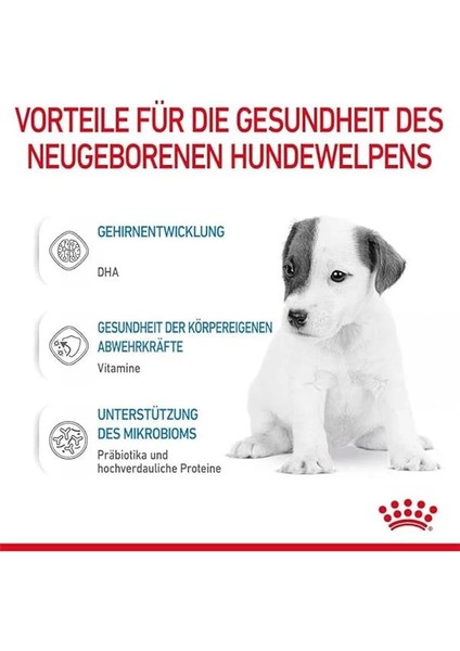 Baby Dog Milk 400 gr