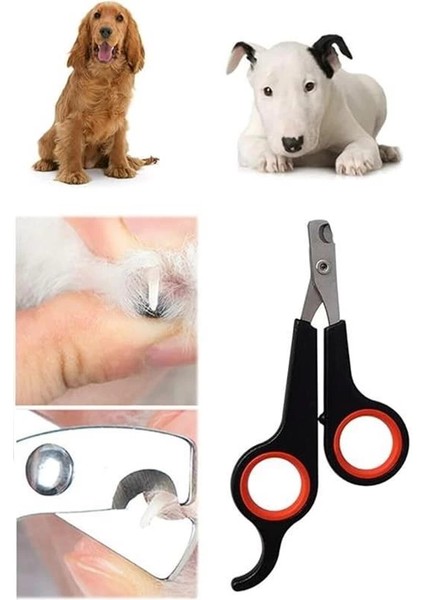 Profesyonel Kuş Tüm Hayvanlara Uygun Tırnak Makası Köpek ve Kediler Için Evcil Hayvan ve Yavru 12 cm modelleri