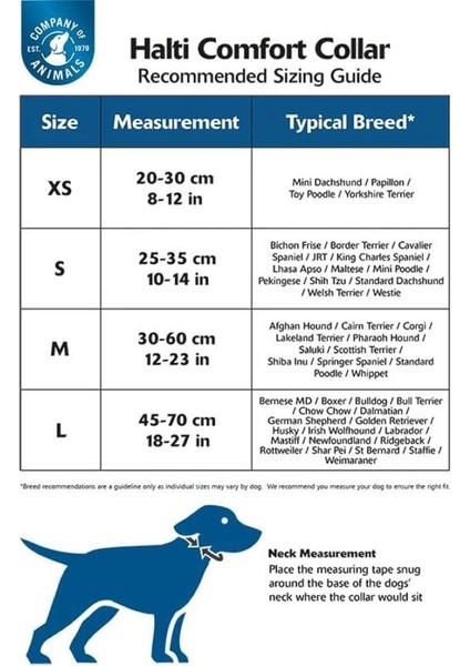 Halti Tasma, L Boy, Mor, En Iyi Konforlu Köpek Tasması, Yüksek Kaliteli Köpek fırsatları