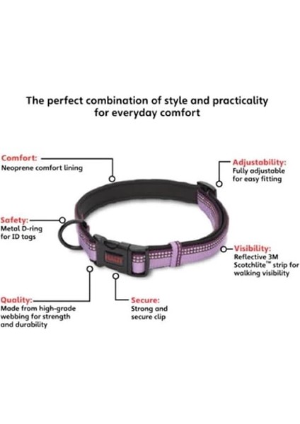 Halti Tasma, L Boy, Mor, En Iyi Konforlu Köpek Tasması, Yüksek Kaliteli Köpek