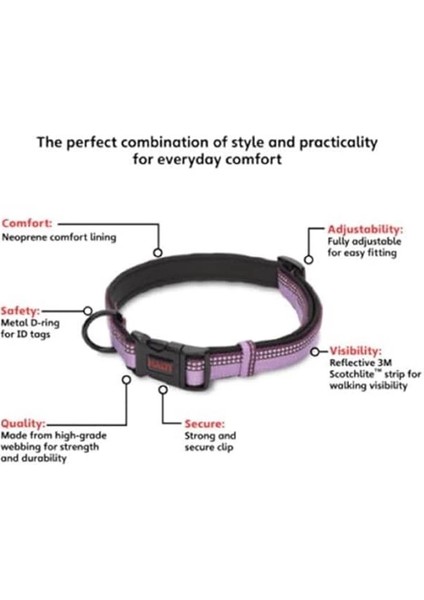Halti Tasma, L Boy, Mor, En Iyi Konforlu Köpek Tasması, Yüksek Kaliteli Köpek