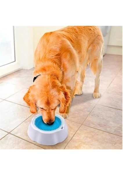 Pawise Ice Bowl Soğuk Su Tutan Mama Kabı fırsatları