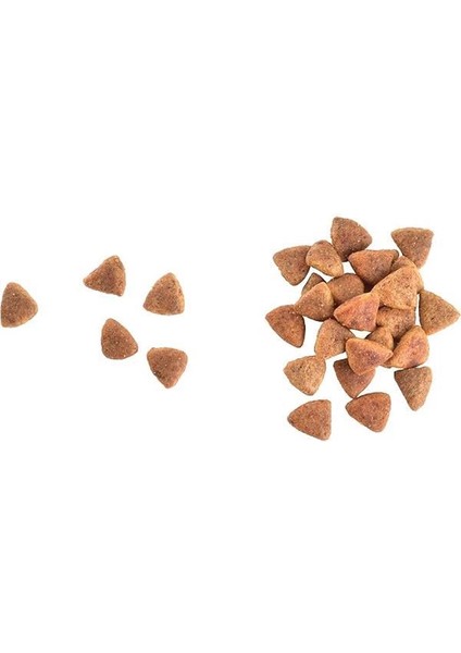 Care Haircare Healthy & Shiny Coat, Yetişkin Kediler Için, Tahılsız, Hipoalerjenik, Taze Somon fiyatları