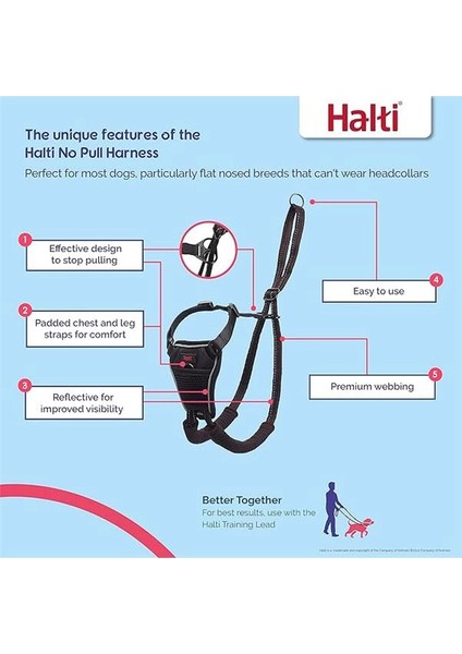 No Pull Yemek Takımı ve Antrenman Tasması Kombi Paket, Stop Dog Pulling On Walks With fiyatları