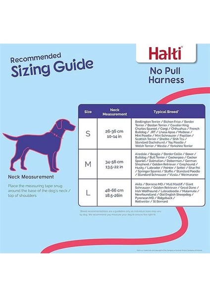 No Pull Yemek Takımı ve Antrenman Tasması Kombi Paket, Stop Dog Pulling On Walks With modelleri