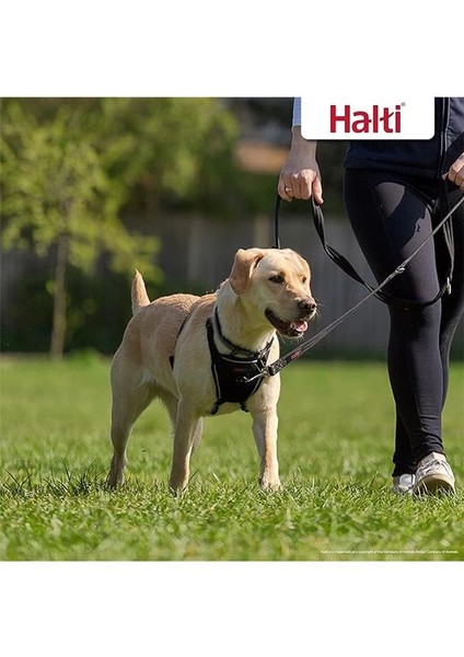 No Pull Yemek Takımı ve Antrenman Tasması Kombi Paket, Stop Dog Pulling On Walks With