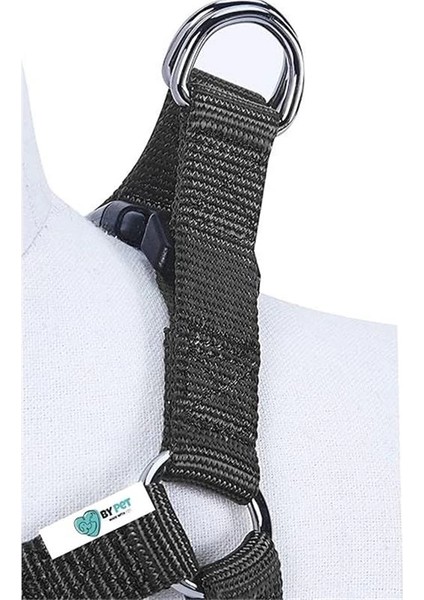 Soft Tabanlı Güvenli ve Konforlu Köpek Göğüs Tasması Seti modelleri