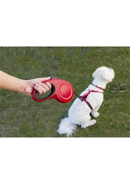 Halti Katlanabilir Kurşun (10'), Küçük, Kırmızı modelleri