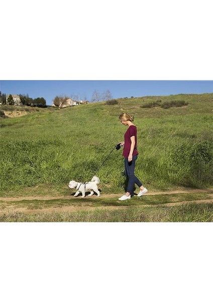 Halti Katlanabilir Kurşun (10'), Küçük, Kırmızı fırsatları