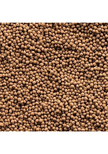 Goldy Gran Japon Balik Yemi 1000 ml / 300 gr fırsatları