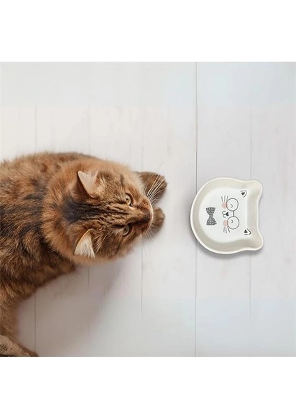 Seramik Kedi Şeklinde Ödül Kabı | Sevimli Evcil Hayvan Mama Kabı | 200 ml Kapasiteli, Yavru Kediler modelleri